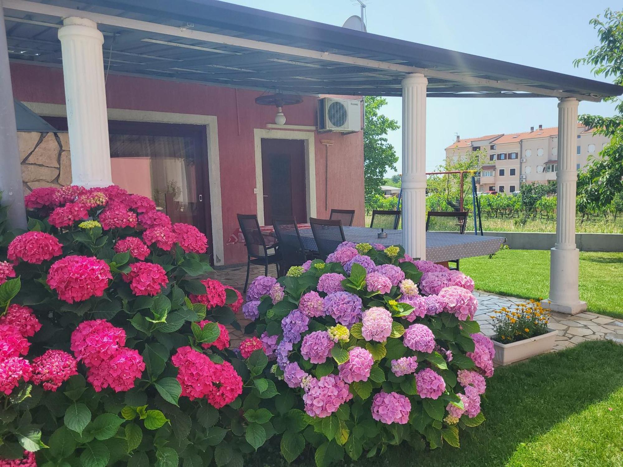 Apartments Dragica Poreč Exterior foto